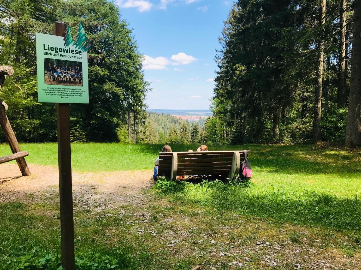 Haus Jenni Im Schwarzwald, 3,5-Zimmer, Grosse Terrasse Freudenstadt Ngoại thất bức ảnh